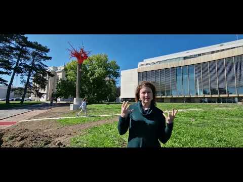 YouTube-Video-Thumbnail